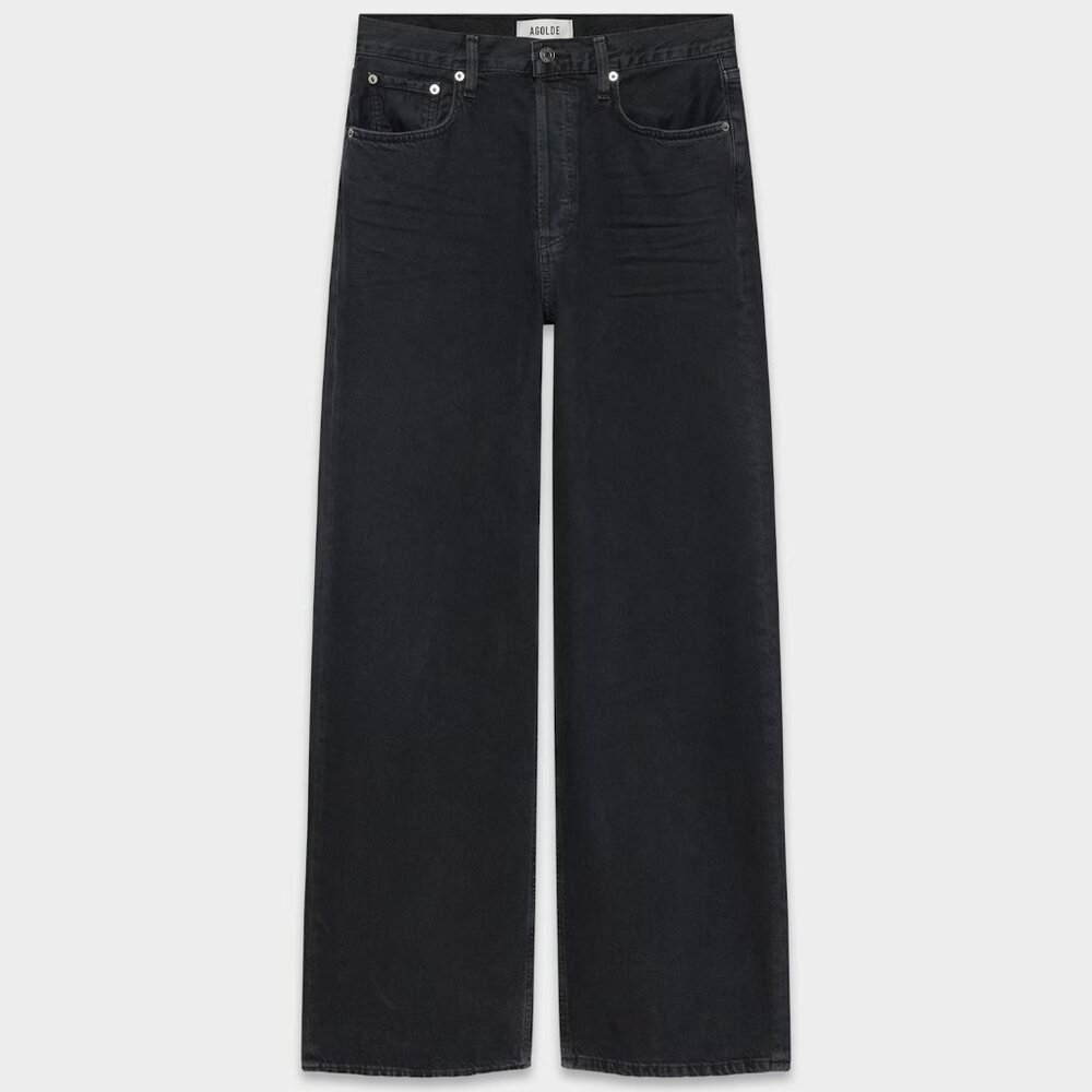 AGOLDE Low Slung Baggy Jean